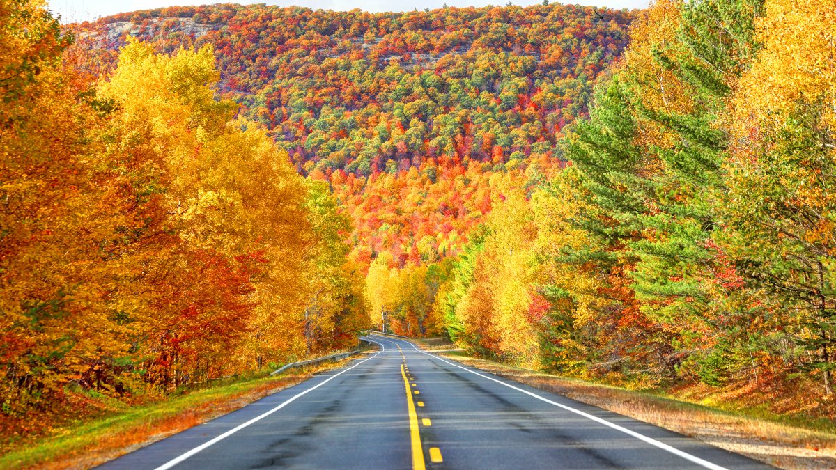 Enjoy the Beauty and Activities of Fall in the Tri-State Area