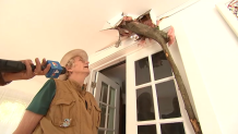 Nancy Burt inspects tree branch breaking through the roof of her home.