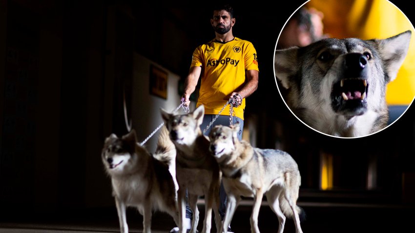 Video: la increíble presentación de Diego Costa en el Wolverhampton, con lobos