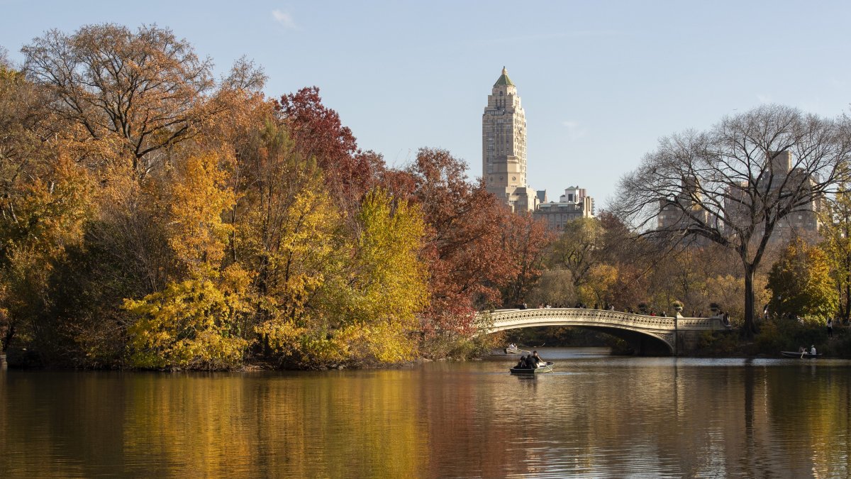 Autumn foliage map released in Central Park – NBC New York