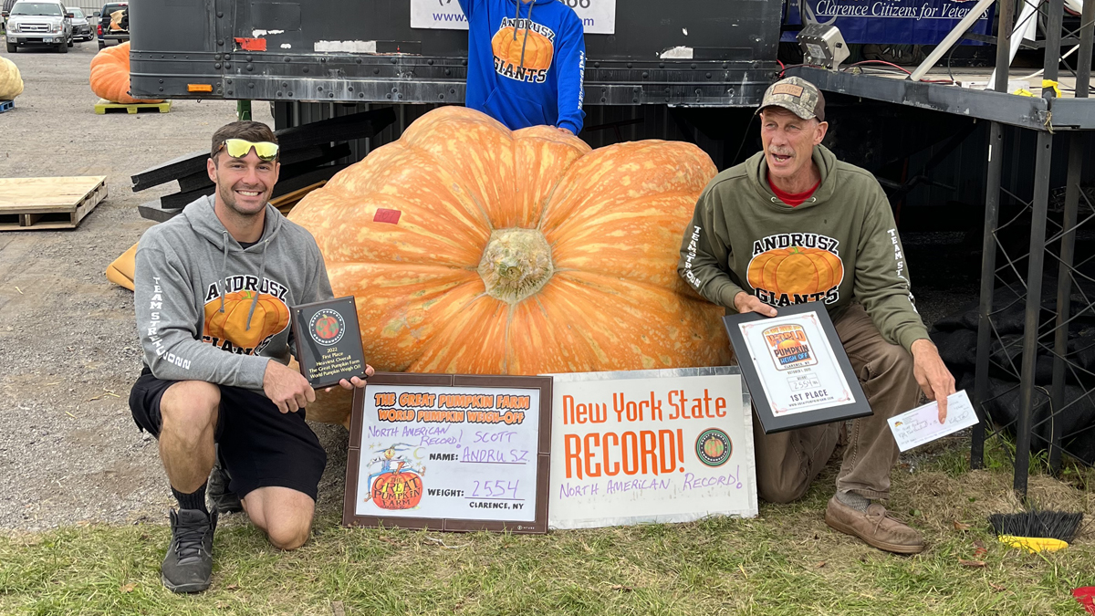 Giant pumpkin weighing 2,500 pounds breaks the New York record – NBC New York