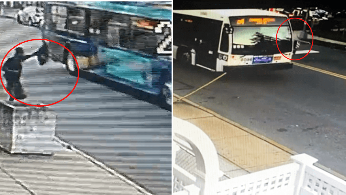 The videos show the New York bus hijacker and the driver of the MTA – NBC New York