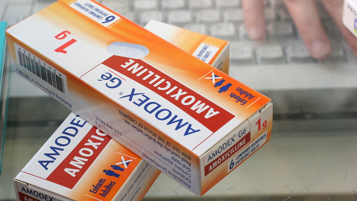 Amoxicillin: FDA advierte de escasez de medicamento – Telemundo New York  (47)