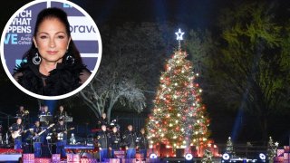 Gloria Estefan es una cantautora cubanoestadounidense.