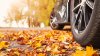 Precaución: Cúmulo de hojas secas podría ocasionar un incendio en tu auto