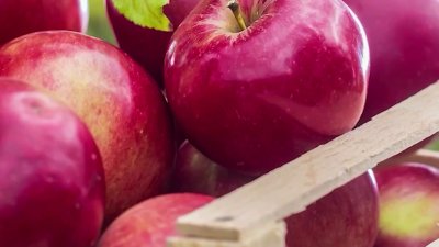 Día Nacional de comer manzanas rojas