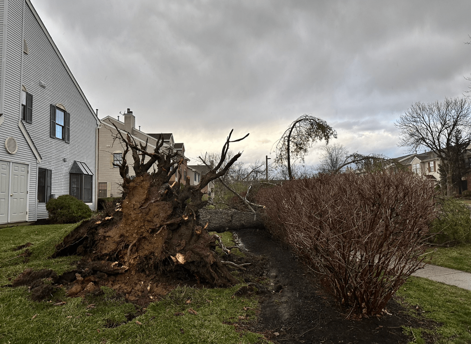 Mira fotos de los daños que deja la tormenta en el área triestatal