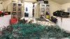 Ballena de Hawaii muere con grandes cantidades de plástico y redes de pesca en su estómago