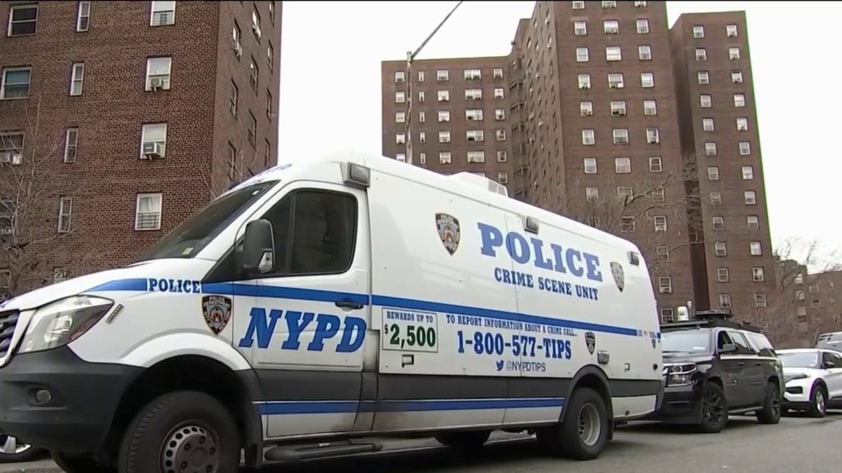 Mother shot dead after trying to end domestic row between neighbors in Harlem