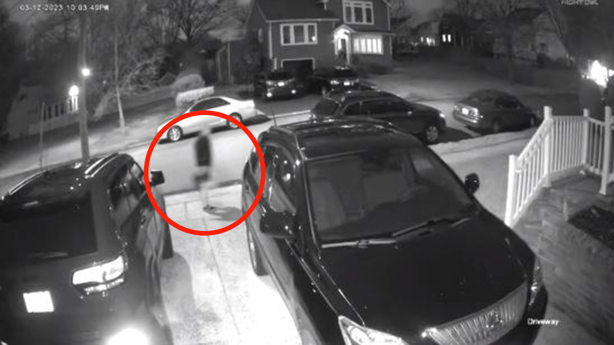 NJ police are looking for a man caught on camera who put a dead cat in a mailbox