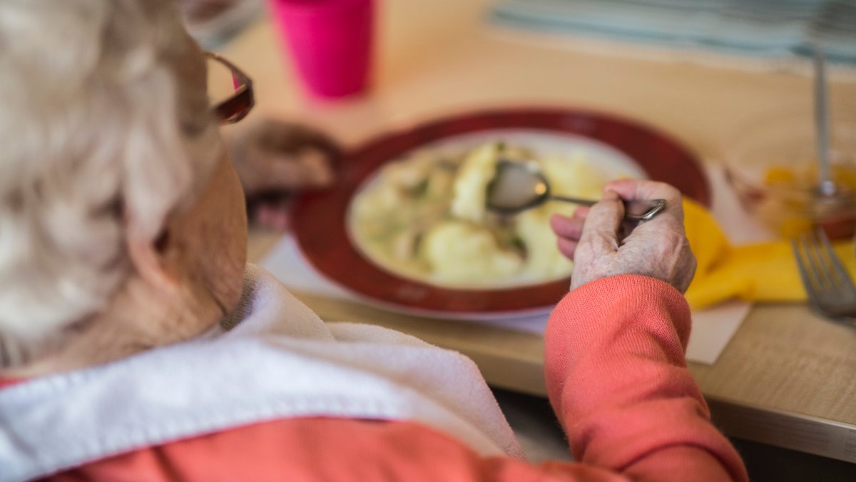 These programs offer free food to New York seniors