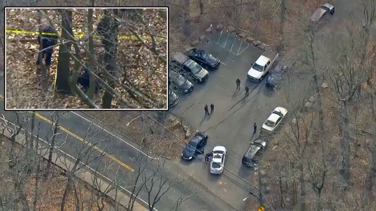 A dog walker appears to find a human hand in a Staten Island forest