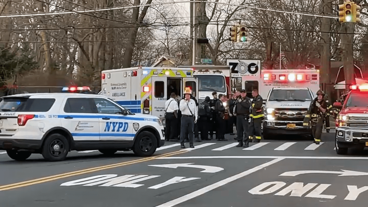 Five children rescued from sewer near Staten Island Zoo
