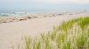 Nueva York tiene una de las mejores playas de EEUU, según reporte