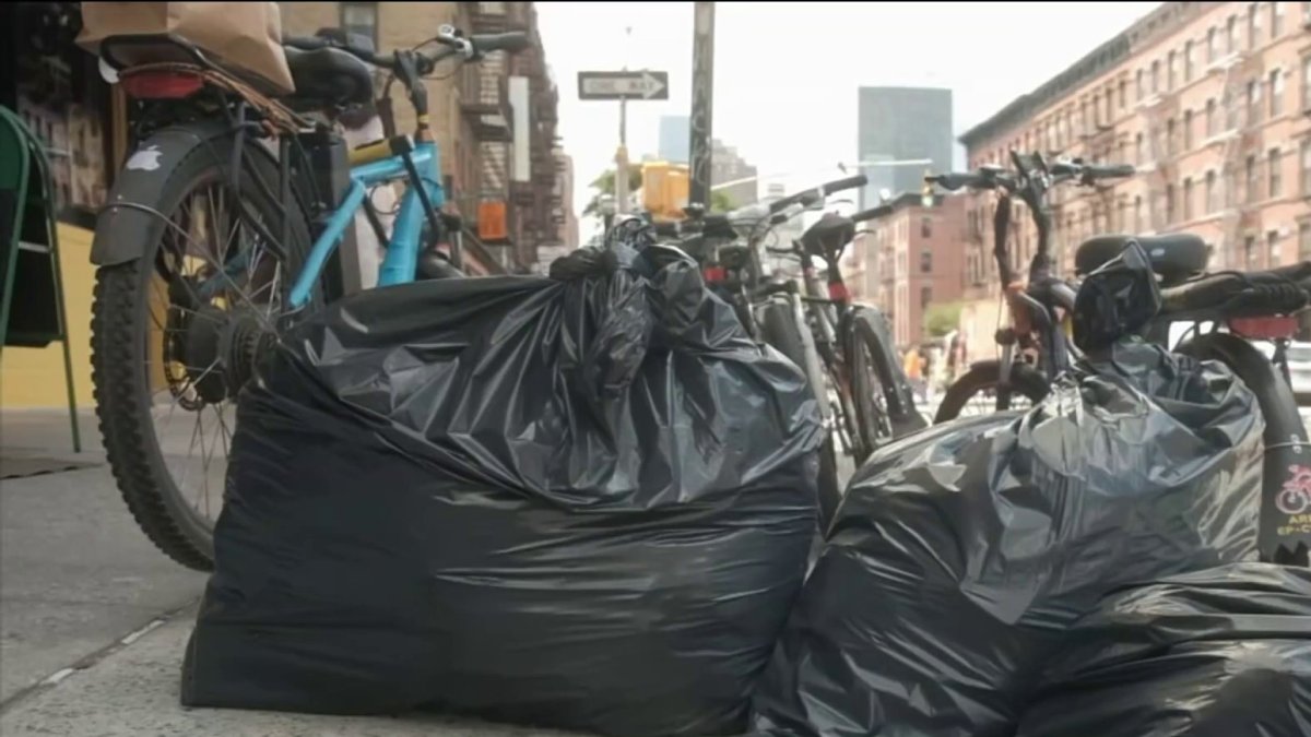 New York City Implements New Garbage Rules to Combat Rat Problem