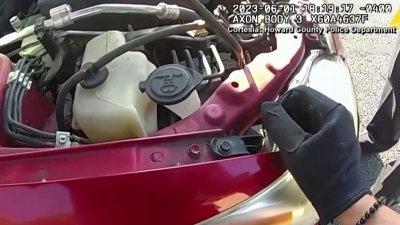 Captado en video: rescatan a gatito atrapado en el motor de un auto en Maryland