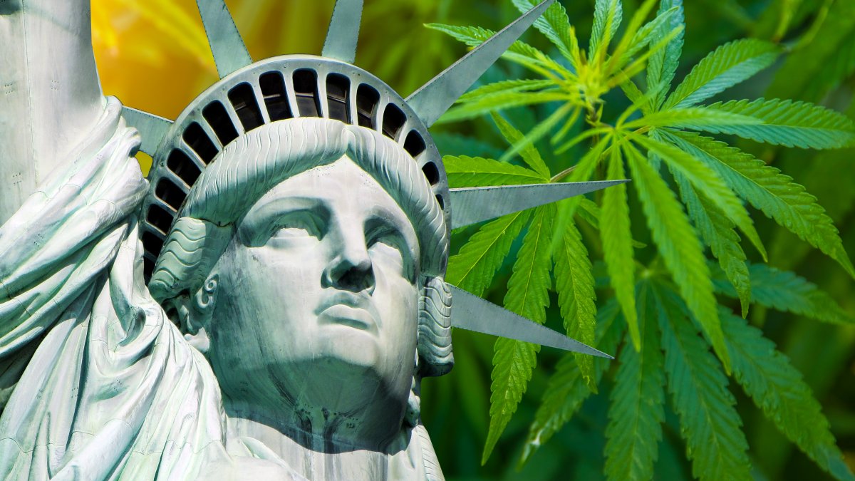 New York City Ranked as Top City for Marijuana Use, According to Study