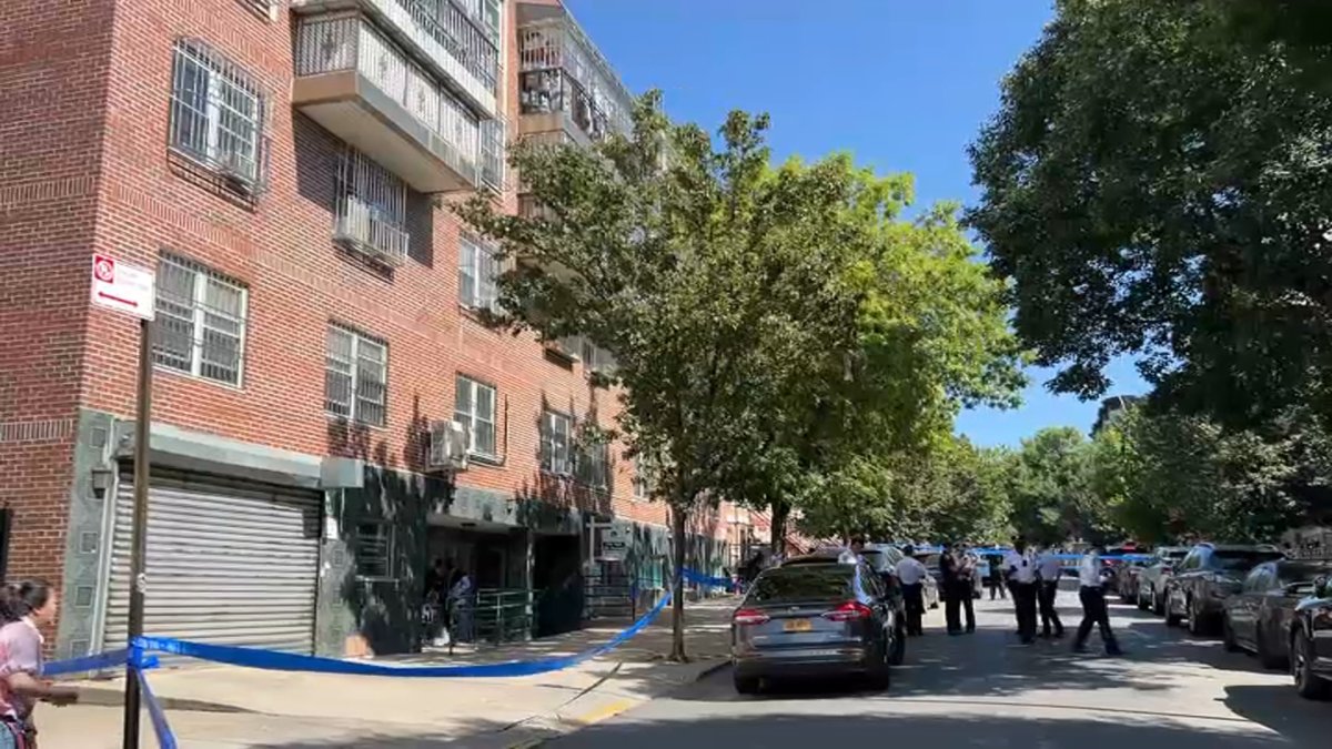 Mother and Two Children Allegedly Attacked with Hammer by Neighbor in Brooklyn