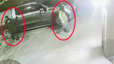 Aterrador video: encapuchados intentan irrumpir en la casa de una familia