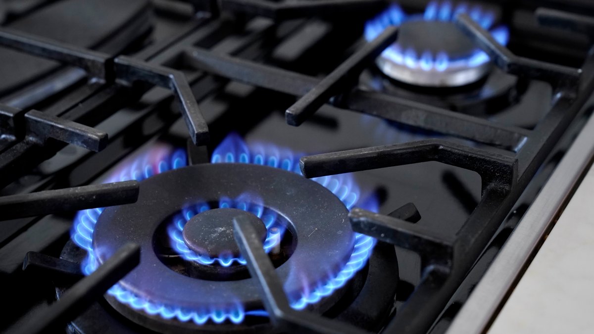 Gas and Construction Trade Groups Sue to Block New York’s Ban on Gas Stoves and Ovens in New Buildings