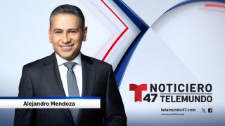 T47_AlejandroMendoza_ WebProfile