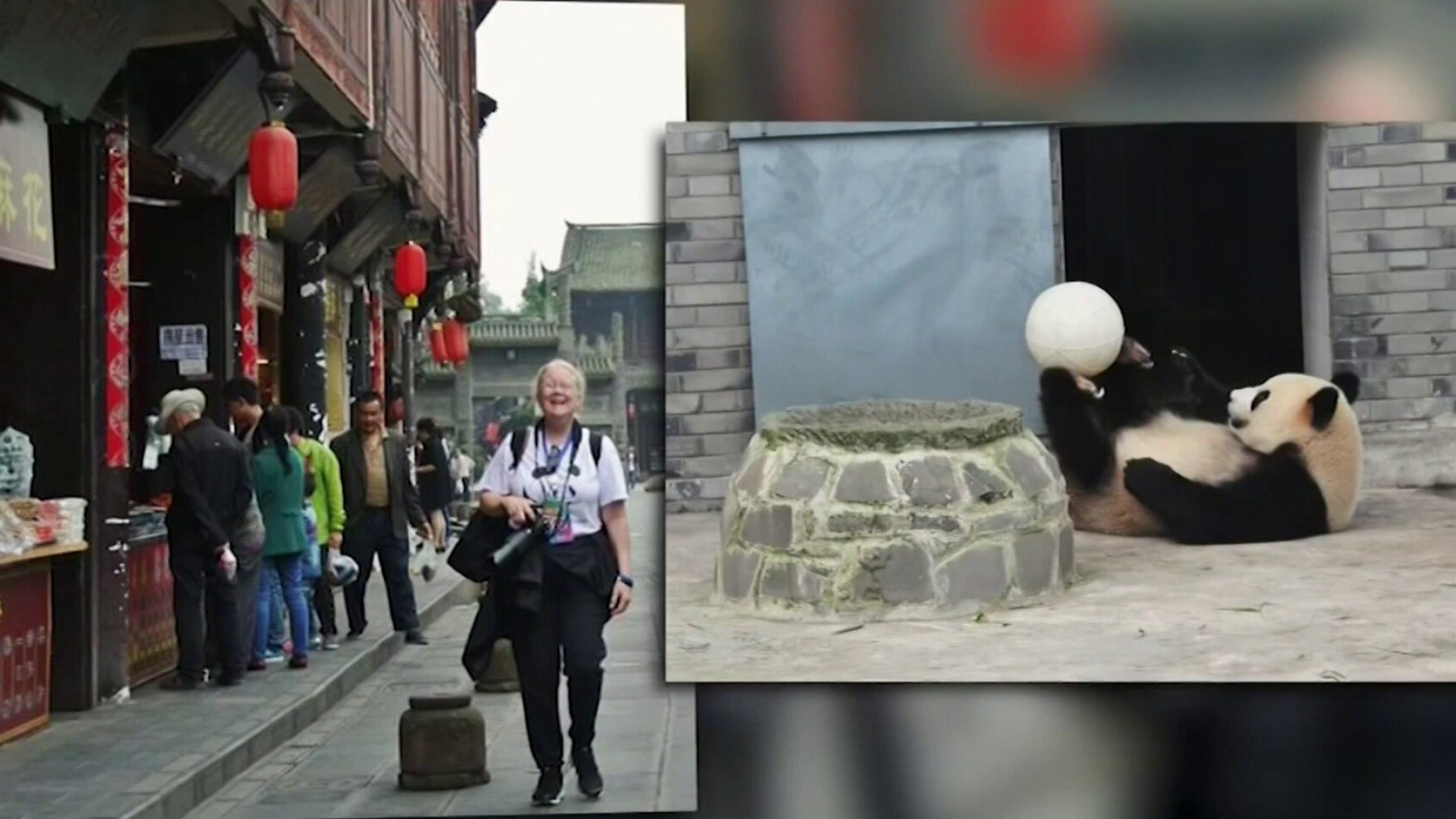 Los pandas del Zoológico Nacional llegan a salvo a China – Telemundo