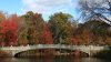 Cierran popular lugar para tomar fotografías en Central Park por reparaciones: lo qué debe saber