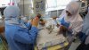 Lo último de la guerra: 31 bebés prematuros son evacuados del principal hospital de Gaza