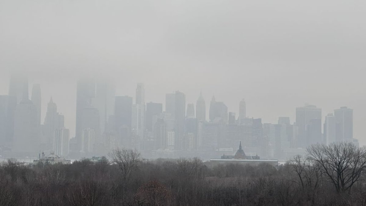 New York Weather Forecast: Dense Fog and Rain Expected, Flood Warning for Thursday Morning