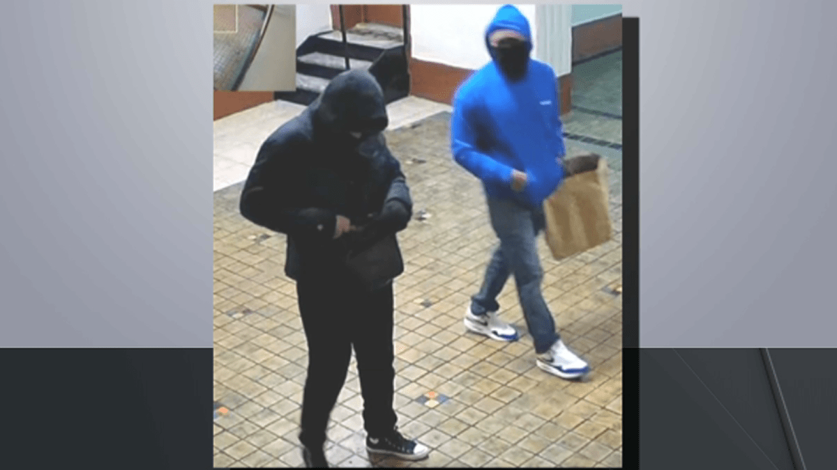NYPD: Armed duo tie up victims, steal jewelry, cash in Bronx home invasion
