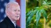 Biden otorga perdón presidencial a miles de condenados por consumo o posesión de marihuana