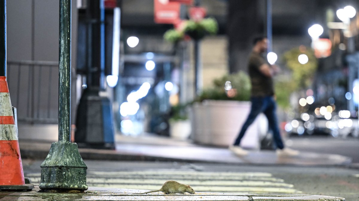 New York City Mayor Eric Adams’s Budget Measures Restore Funding for Trash Can Maintenance and “War on Rats”