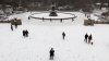 Central Park registra la primera nevada en casi dos años en espera de frío ártico