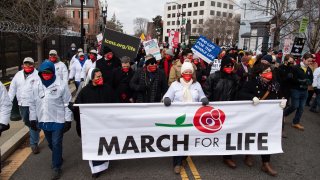 Fotografía de archivo de la Marcha por la Vida en DC en enero de 2021.