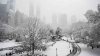 Tormenta del fin de semana traerá su primera nevada a NY y al área triestatal