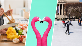 Desde citas gratuitas hasta actividades ingeniosas, aquí tienes actividades innovadoras y salidas divertidas que puedes probar para San Valentín en el área de DC.