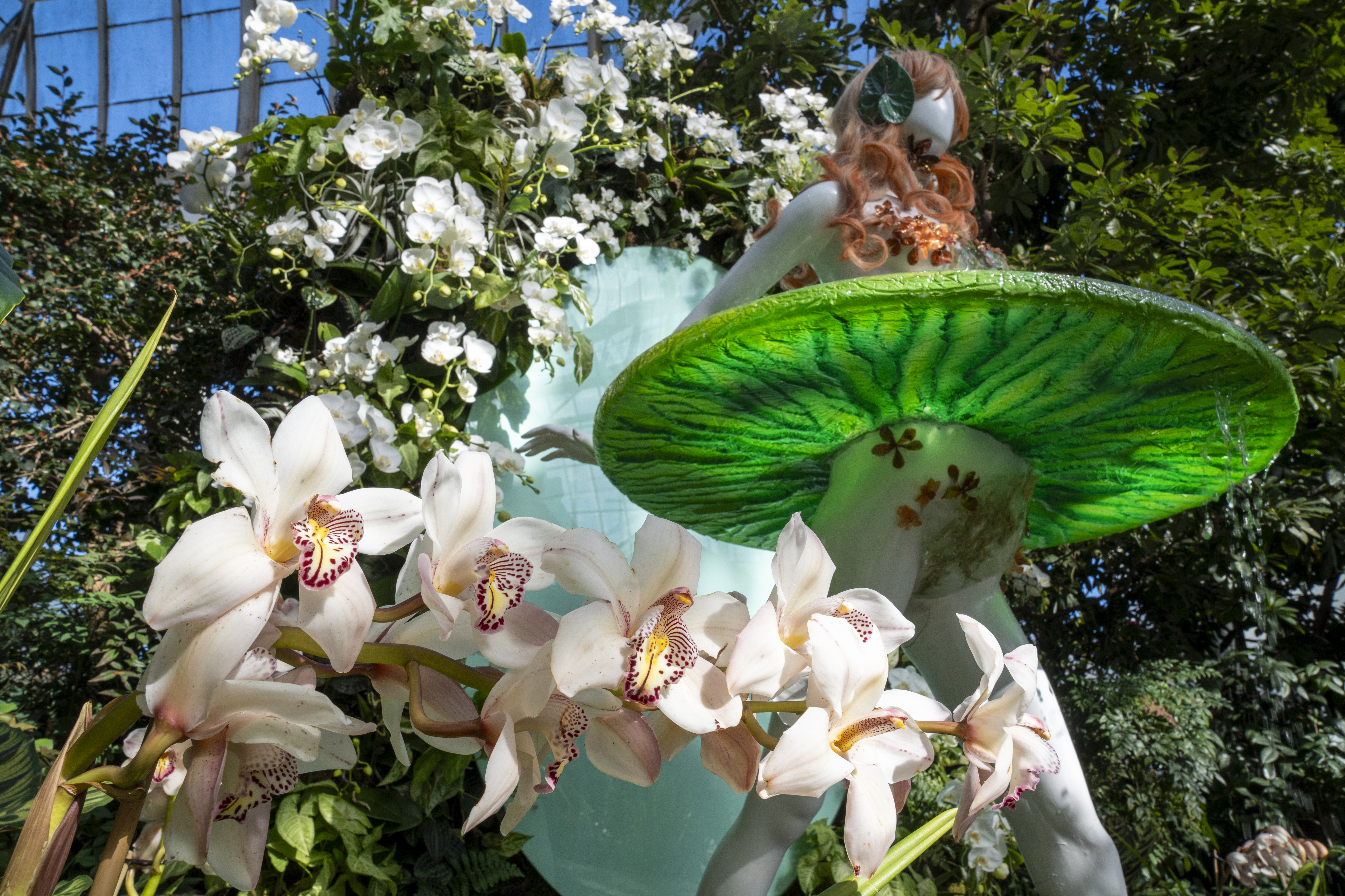 Plantas preservadas: por qué son tendencia, cómo se cuidan y