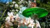 Estrenan nueva exhibición de orquídeas en el Jardín Botánico de Nueva York