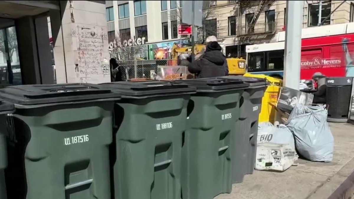 New York City Crackdown: Trash Bags on Curbs Banned for Businesses