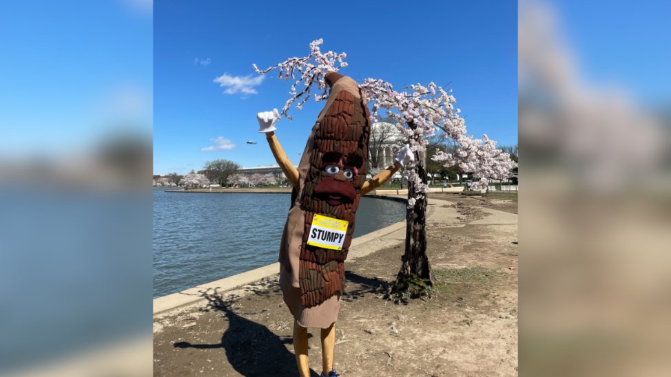 Residentes de DC despiden a Stumpy con flores, Whiskey y más ...