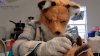 Trabajadores en Virginia se disfrazan para evitar “contacto humano” con pequeño zorro