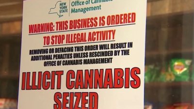 Severas regulaciones contra la venta ilegal de marihuana en Nueva York