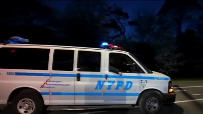 Reportan varios robos y atracos en Central Park