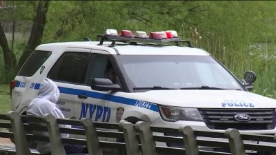 Arrestan a dos personas por robos en Central Park