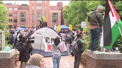 Congresistas le piden a la alcaldía de DC que retire a manifestantes de la Universidad George Washington