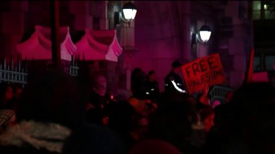 Protestas en universidades del país: aquí los últimos sucesos en las instituciones de Nueva York
