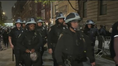 Protestas universitarias en NYC y el resto de EEUU