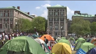 Universidad de Columbia cancela graduación por protestas