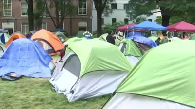 Presidenta de la Universidad George Washington cataloga como “ilegal” el campamento propalestino