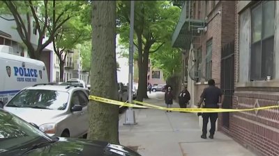 NYPD investiga posible homicidio-suicidio de pareja en El Bronx